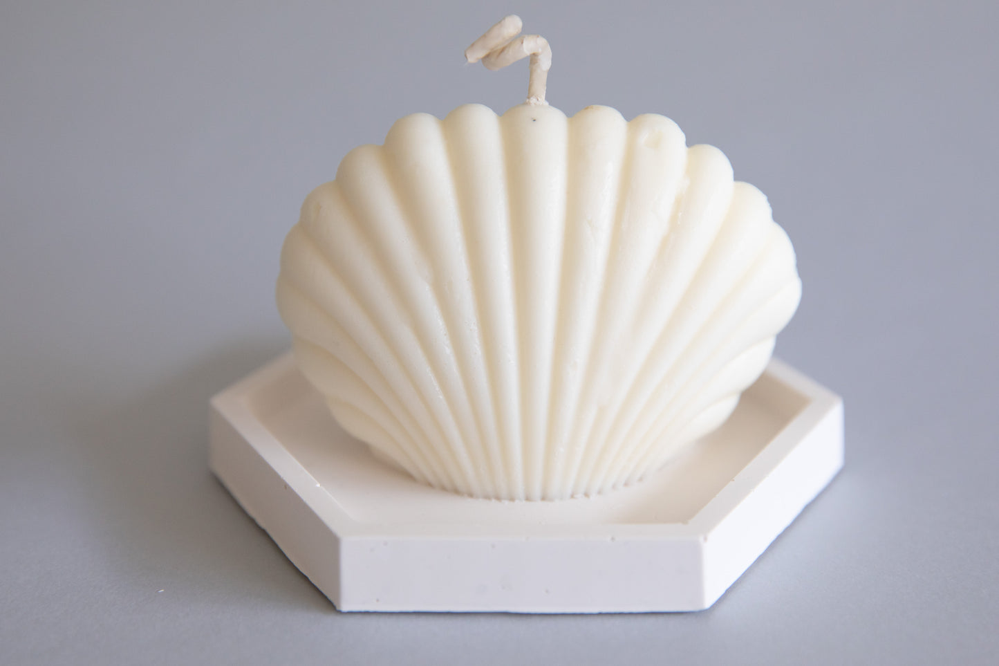 Sea Shell